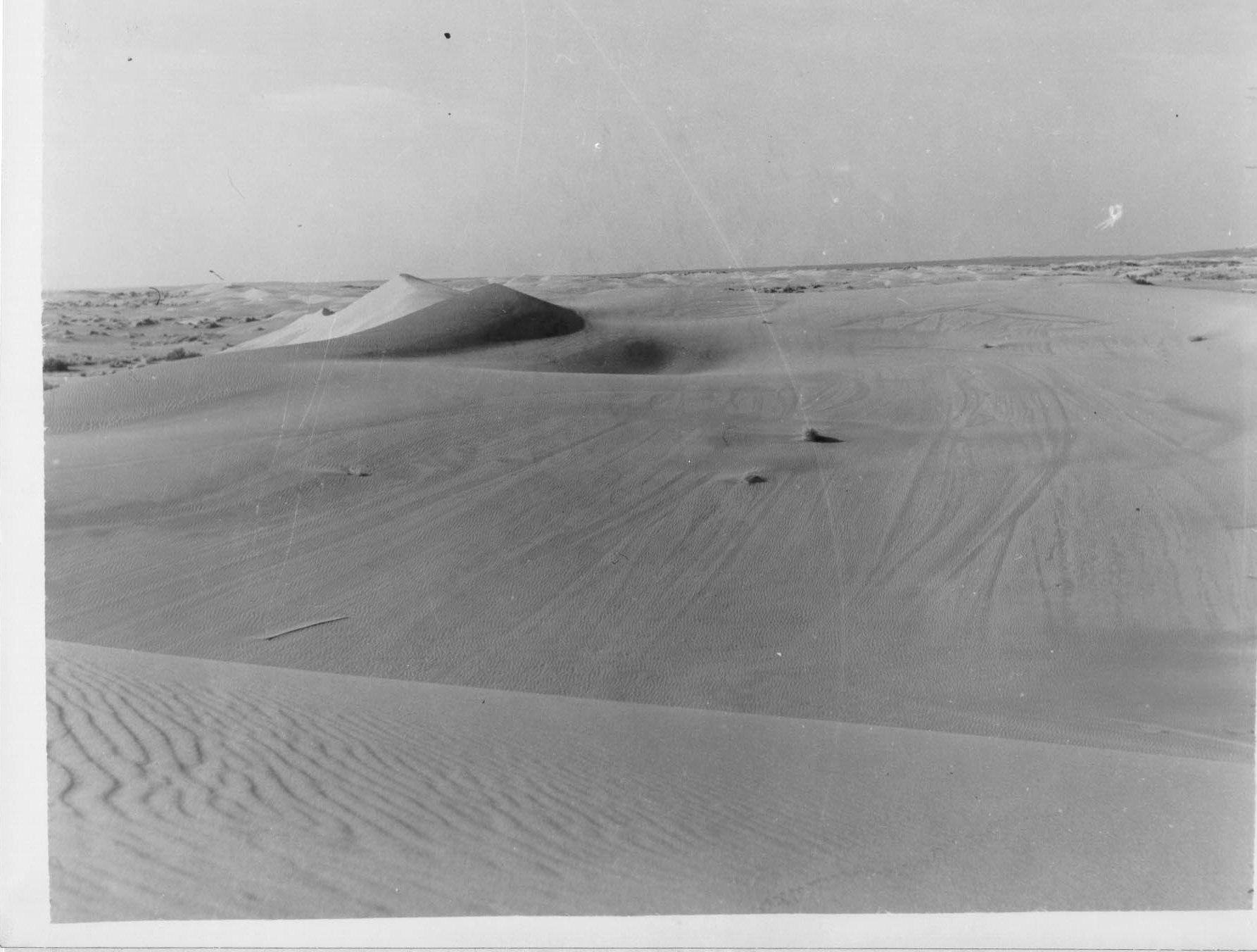 Dune Is Arenas.jpg
